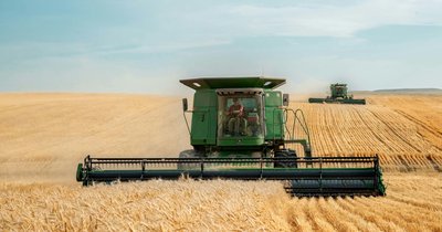 Ubezpieczenie upraw z dofinansowaniem: Procedury i korzyści