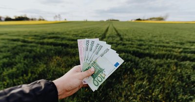 Ekoschema a płatność za zazielenienie - różnice i podobieństwa