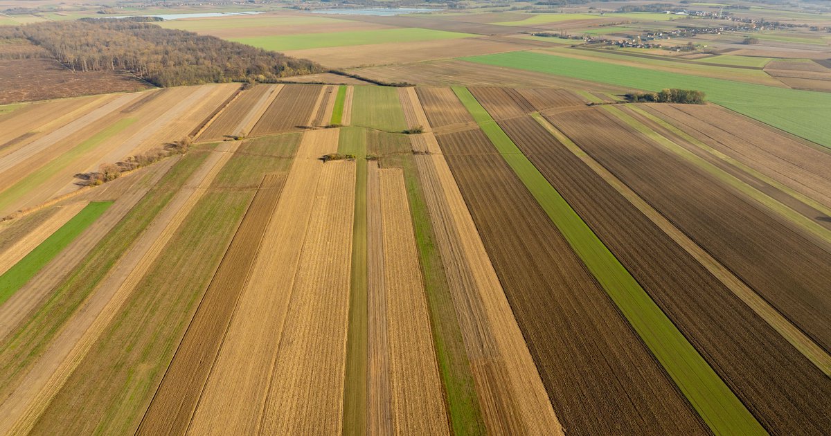 Trendy w rolnictwie UE - co czeka polskich producentów